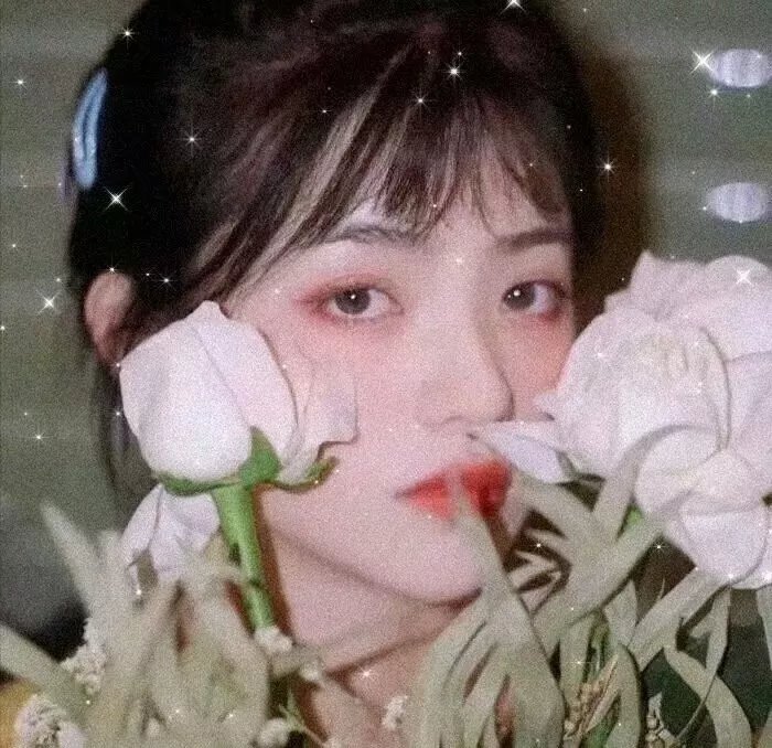 情深缘起