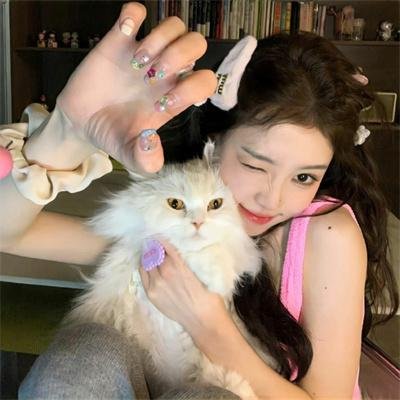 云小姐收手吧江总知错了