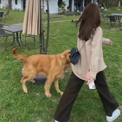 血战湘江